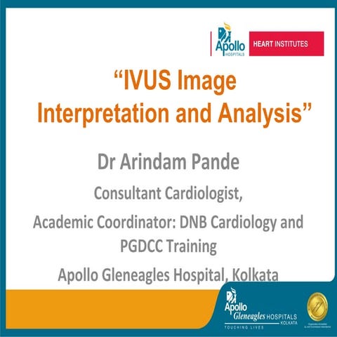 IVUS Image Interpretation and Analysis