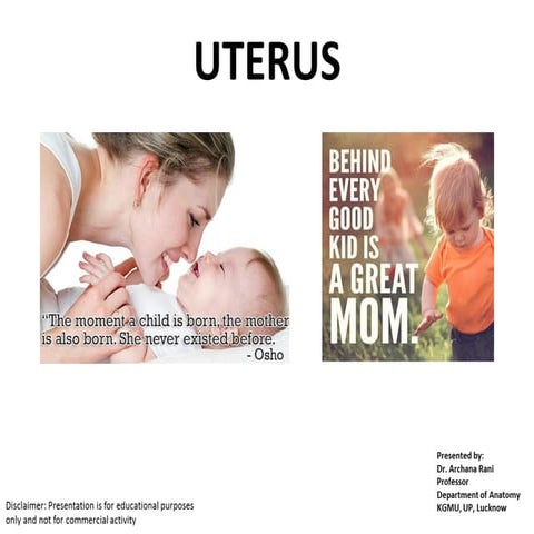 Uterus anatomy female reproductive organs