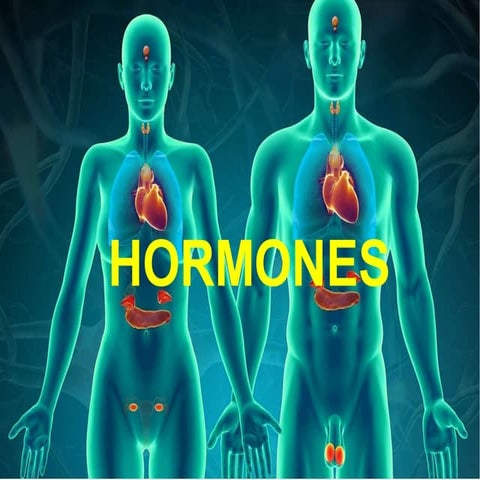 corticosteroid drugs and its uses