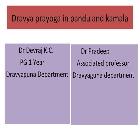 Faqat jinsiy aloqa videolarini tomosha qiling