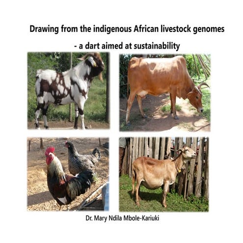 Drawing from the indigenous african livestock genomes   a dart aimed at susta...