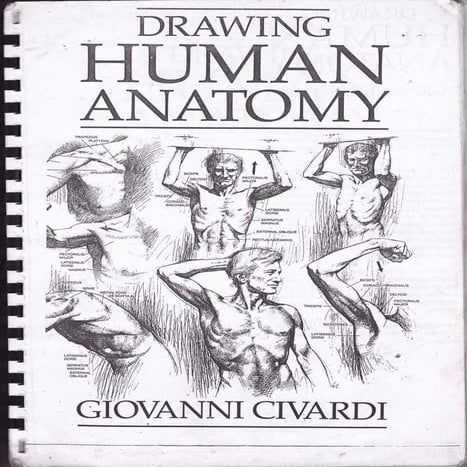 Drawing human anatomy by giovanni civardi