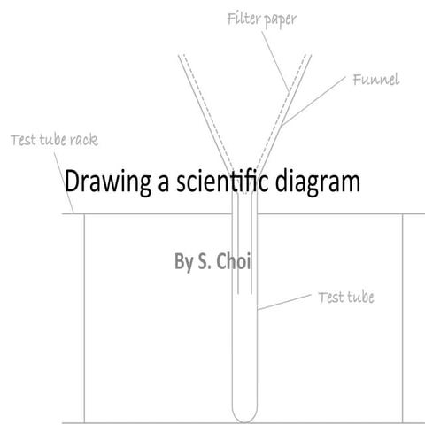 Drawing scientific diagram | PDF | Drawing and Sketching | Arts and Crafts