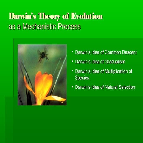 Drawins theory of evolution powerpoint