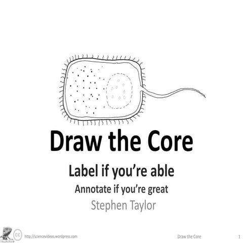 Draw The Core