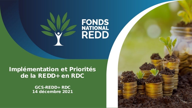 thumbnail of Implémentation et Priorités de la REDD+ en RDC