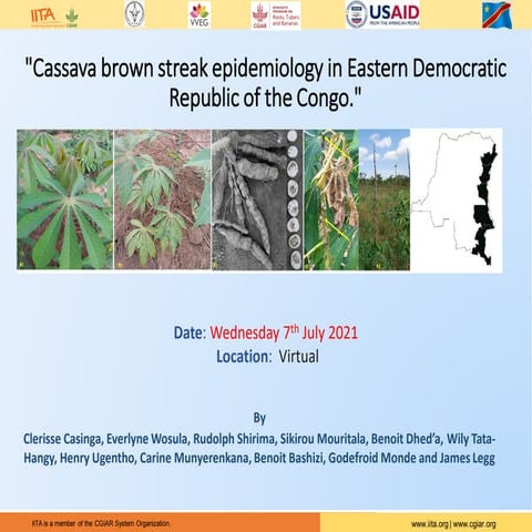 Cassava brown streak epidemiology in Eastern Democratic  Republic of the Congo