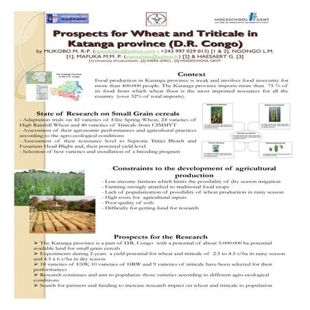 Prospects for wheat and triticale in Katanga province