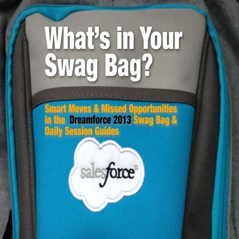 What's in Your Swag Bag? - Dreamforce 2013 Swag Bag analysis
