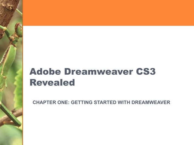 Getting Started with Dreamweaver
