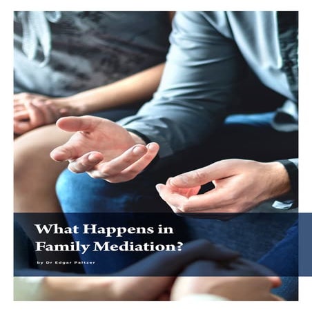 Dr Edgar Paltzer - What Happens in Family Mediation?