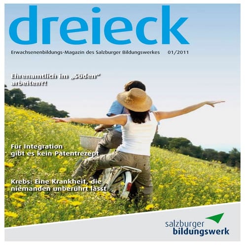 dreieck Ausgabe01 2011