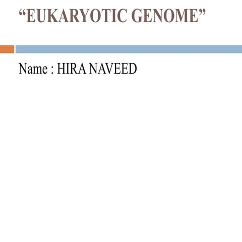 eukaryotic genome