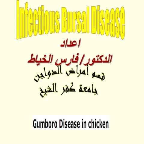 Dr Fares El-khayat  -Infectious bursal disease