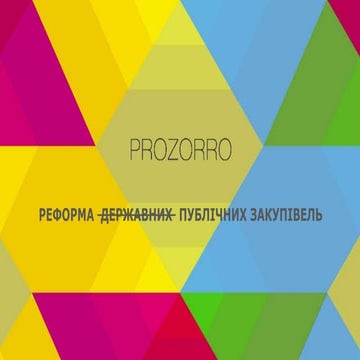 Дарина Черкашина "Prozorro" 