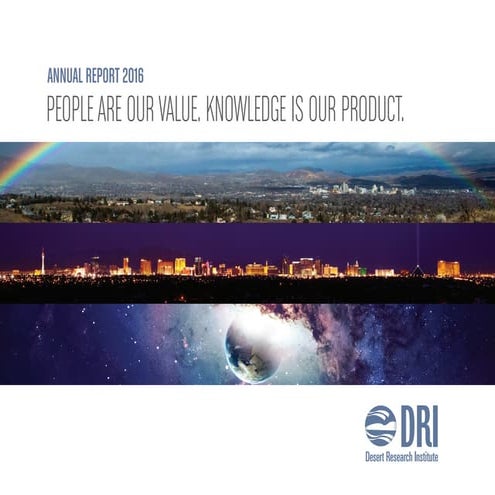 DRI 2016 Research Highlights and Annual Report