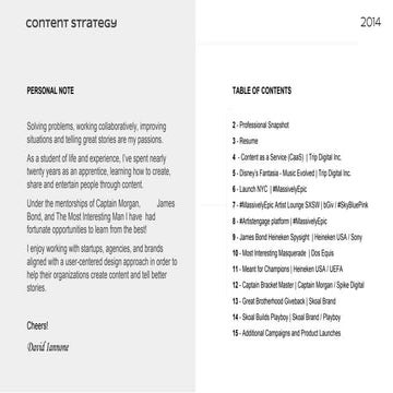 Integrated Content Strategy Portfolio (Example)