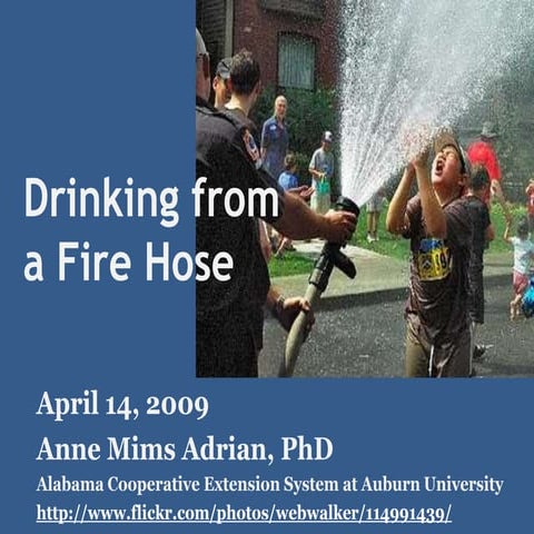 Drinking from a Fire Hose