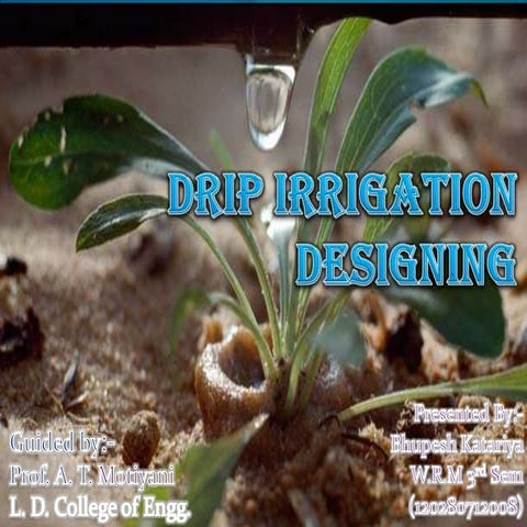 Drip irrigation............
