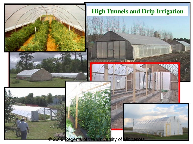 Drip Irrigation and High Tunnels