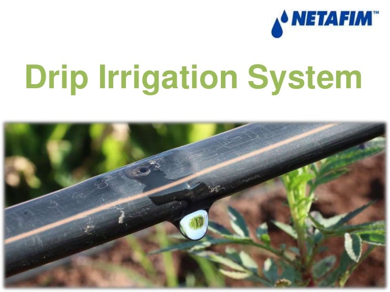 Dripline Irrigation System Netafim