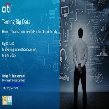 Driss temsamani Big Data Marketing Innovation Summit 2015 Keynote