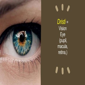 dristi.pptx