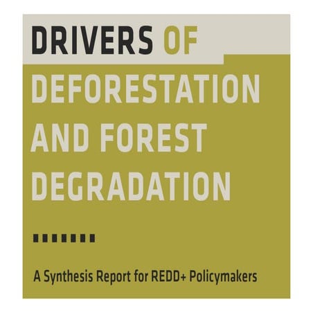 Drivers of deforestation and forest degradation