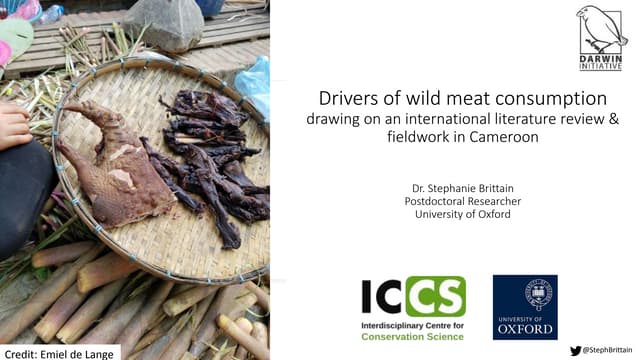 Drivers of wild meat consumption steph brittain