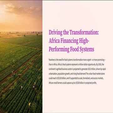 Driving the Transformation: Africa Financing High-Performing Food ...