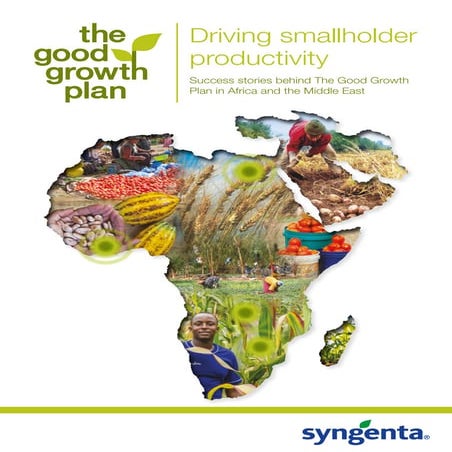 Driving smallholder productivity
