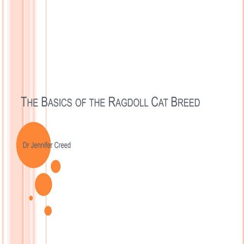 The Basics of the Ragdoll Cat Breed | PPTX