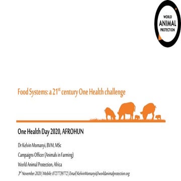 Food Systems: a 21st century One Health challenge 