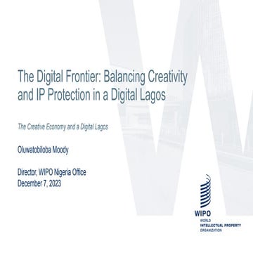 The Digital Frontier: Balancing Creativity and IP Protection in a Digital Lag...