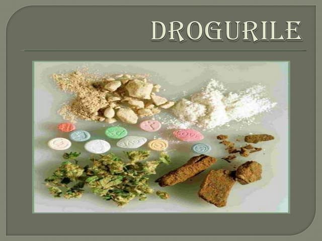 Drogurileisailageorgiana