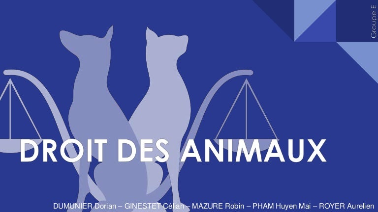 Droit des animaux