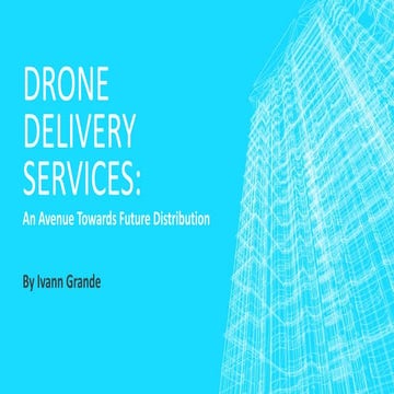 Drone delivery service