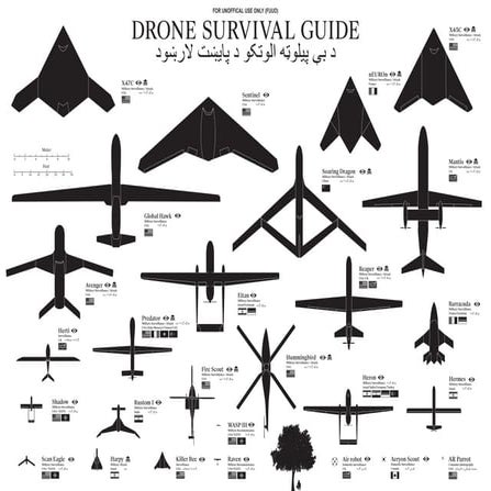 Drone Survival Guide