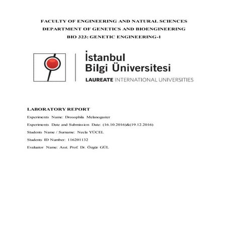 LAB REPORT DROSOPHILA MELANOGASTER | DOC