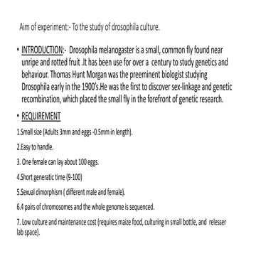 Drosophila culture.pptx
