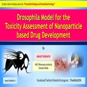 Drosophila Model for toxicity Assessment of Nanoparticle based Drug Developme...