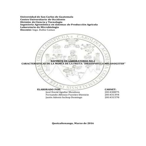 Drosophylla melanogaster