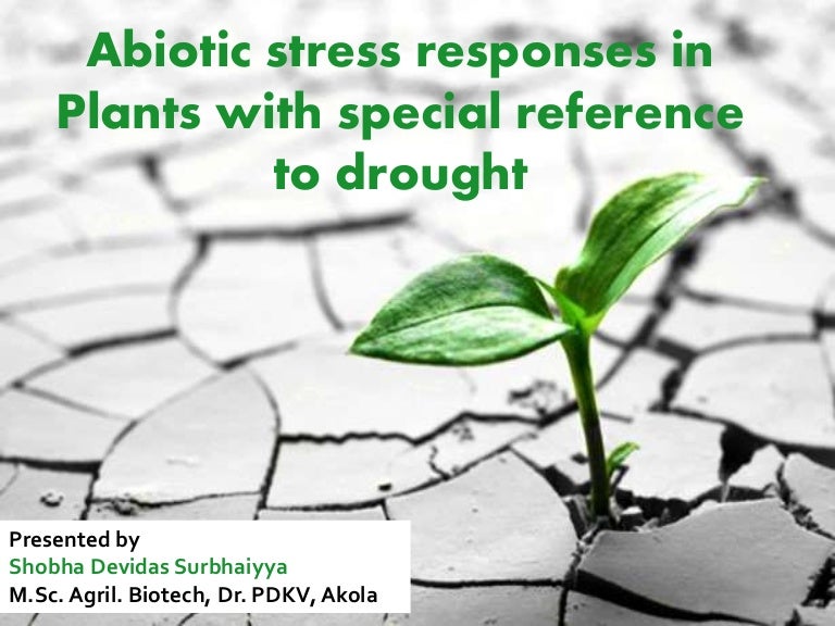 Abiotic Stress Responses In Plants With Special Reference To Drought