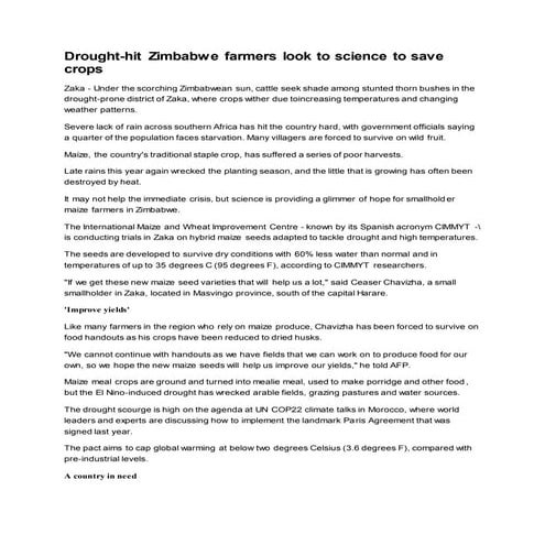 Drought hit zimbabwe farmers look to science to save crops