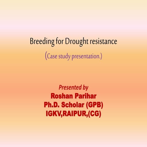 Breeding for Drought resistance in Rice