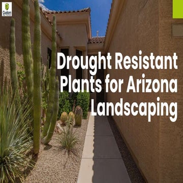 Drought Resistant Plants for Arizona Landscaping - AZ Weed & Pest Control