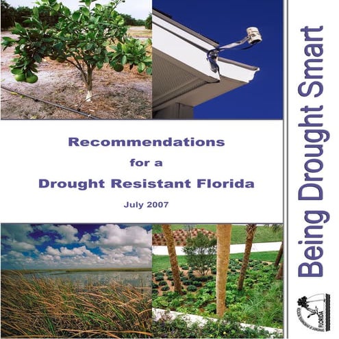 Recommendations for a Drought Resistant Florida