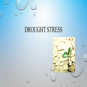 Drought stress and tolerance mechanisms in crops | PPTX