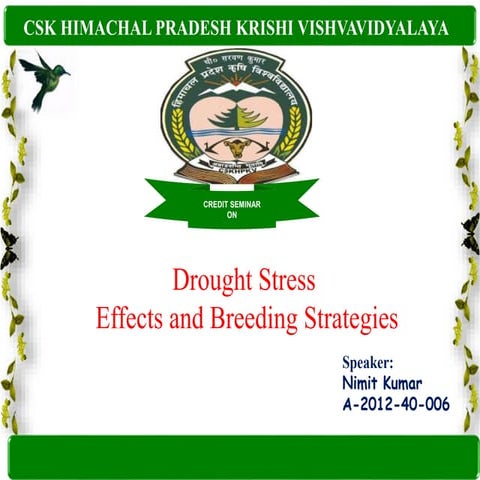 Drought stress Effects and Breeding Strategies