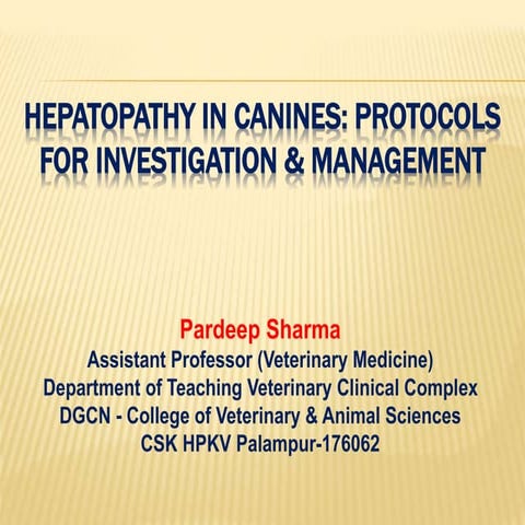 Dr pardeep canine hepatopathy v o capacity  tvcc